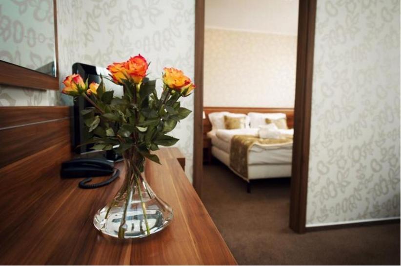 Wellness Hotel Spark Malacky Rum bild